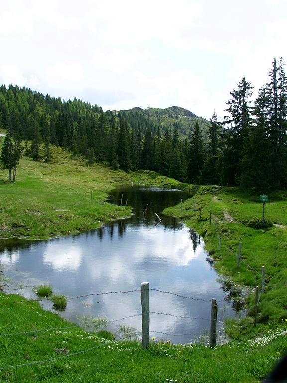 Ferienwohnungen Unterfeld Алпбах Екстериор снимка