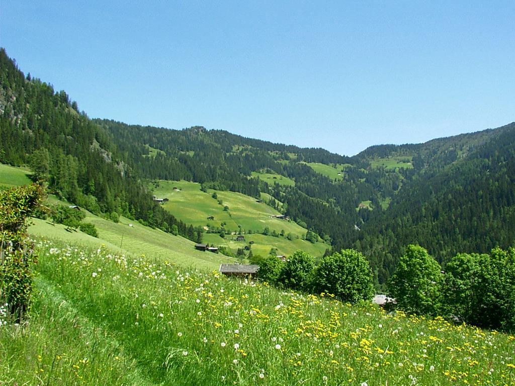 Ferienwohnungen Unterfeld Алпбах Екстериор снимка