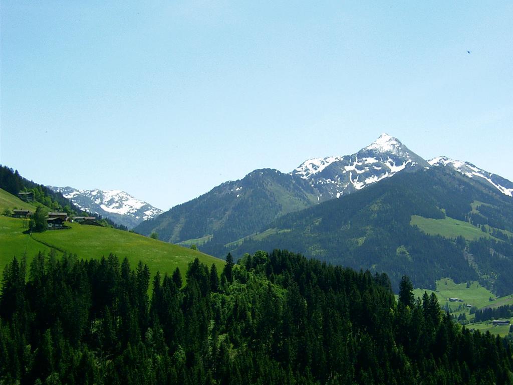 Ferienwohnungen Unterfeld Алпбах Екстериор снимка
